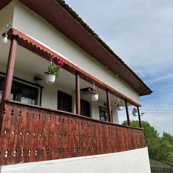 Casa rustica Cerdacul Batranesc, hotel en Urlueşti
