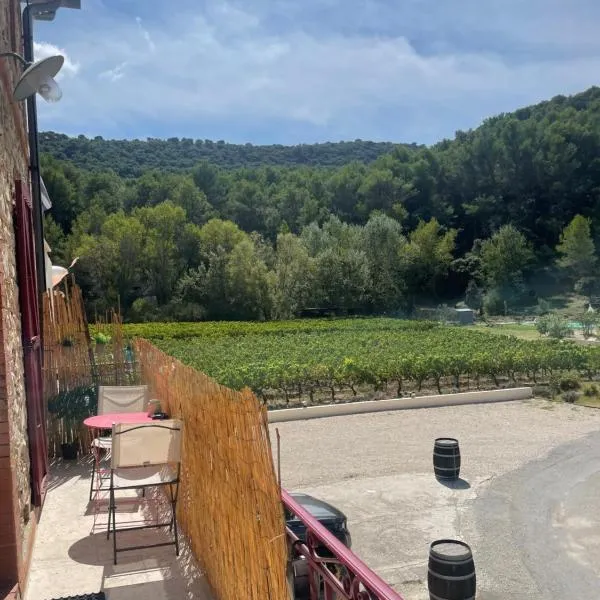 Appartement au calme au milieu du vignoble de Gigondas, מלון בז'יגונדס