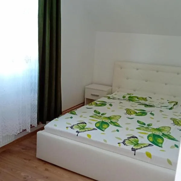 Camera Primăverii 1, hotel v destinaci Ruşor