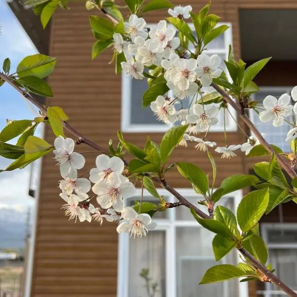Malina guest house, hotel in Bosteri