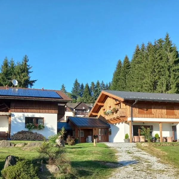 Penzion Albert, hotel in Kubova Huť