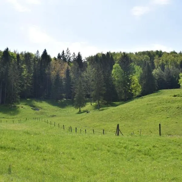 Apartma podeželje, hotel v mestu Podslivnica