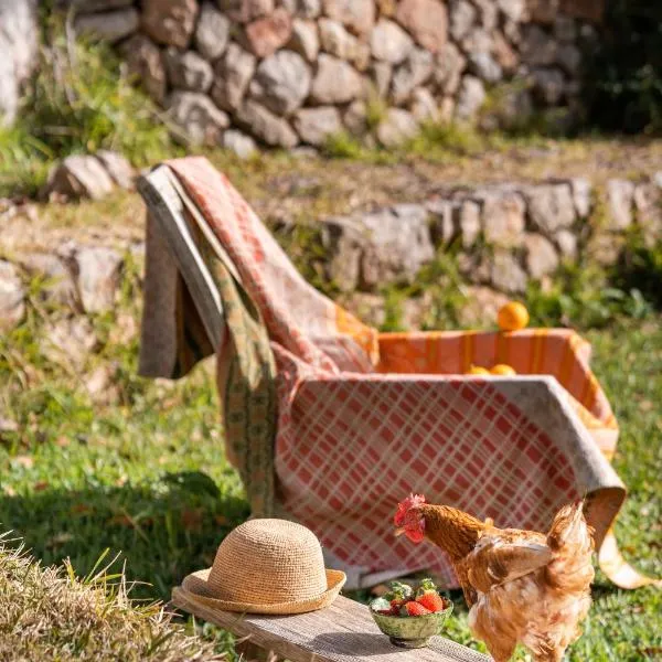Agroturismo Son Viscos, hotel v destinaci Valldemossa