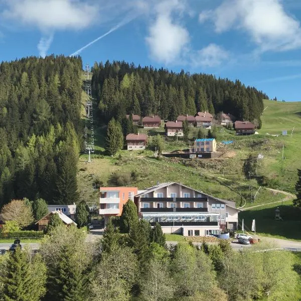 Hotel Alpengasthof Hochegger, hotel a Bad Sankt Leonhard im Lavanttal