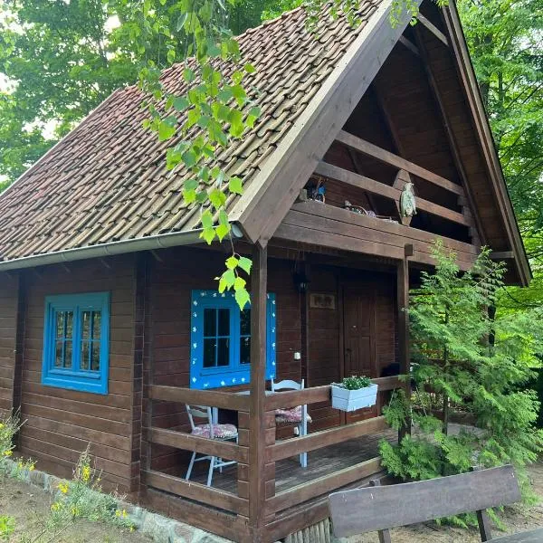 domek Pluski, hotel in Pluski