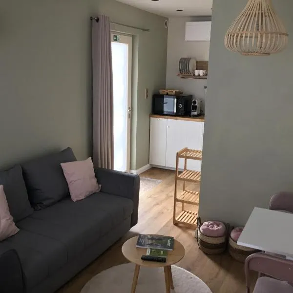 Gezellige studio met terras en gratis parking, hótel í Oudenaarde