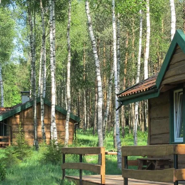domki na leśnej polanie, hotel v destinaci Lidzbark Warmiński