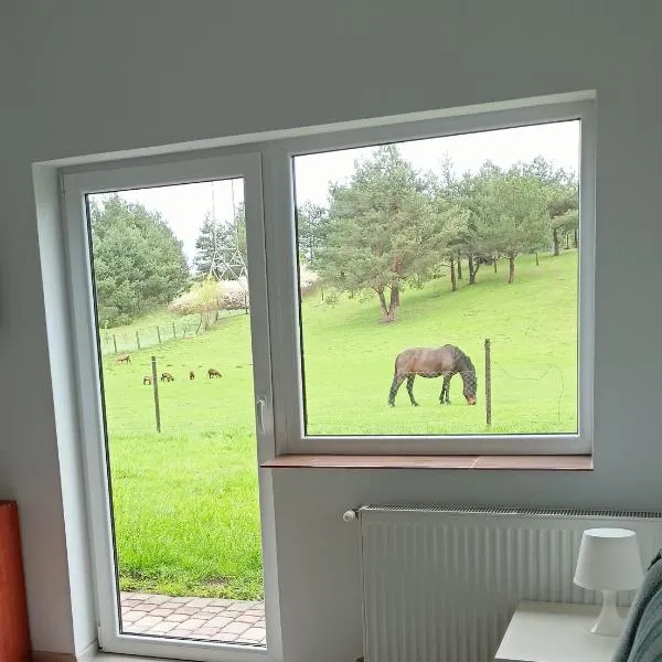 Pokoje gościnne Trąbki Małe k.Gdańska, hótel í Skowarcz