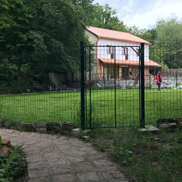 Guest House DogPoint, Hotel in Pitavi