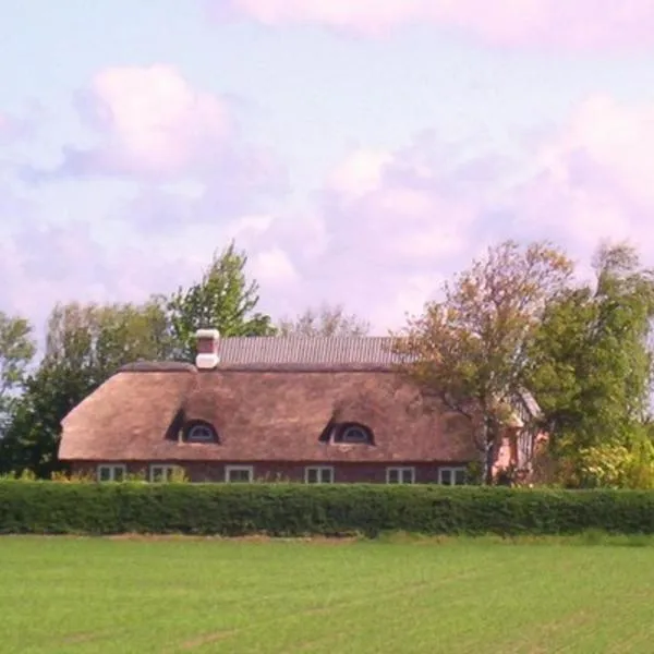 Nyager Apartments, hotel in Ringkøbing