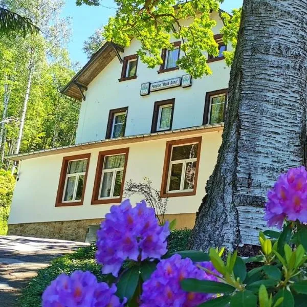 Pension Haus Anna, hotel a Kurort Altenberg