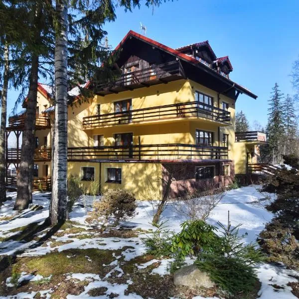 Willa Paweł z balią i jacuzzi, готель у Карпачі