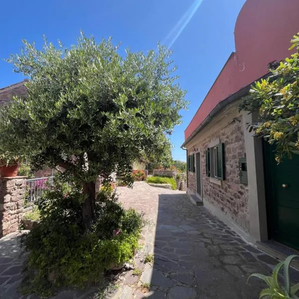 Casa vista Castello, hotel v destinaci Capraia