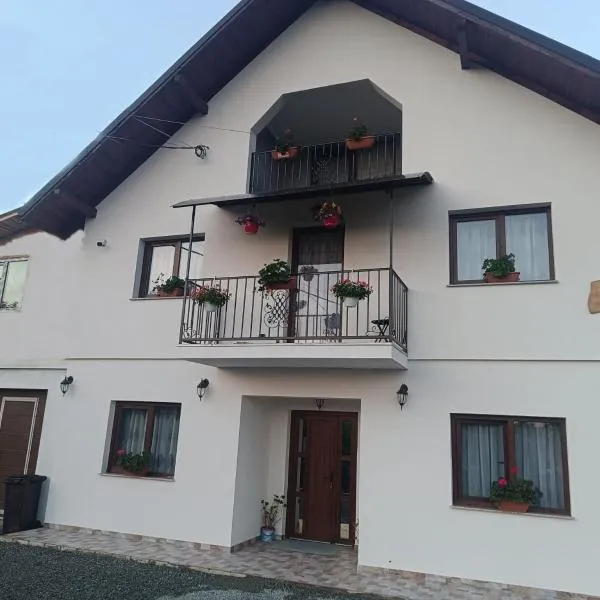 Casuta Din Livada，莫伊塞鄉的飯店