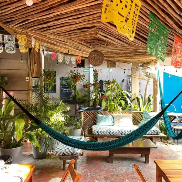 Barco Verde Hostel, hotel v destinaci Ostrov Holbox