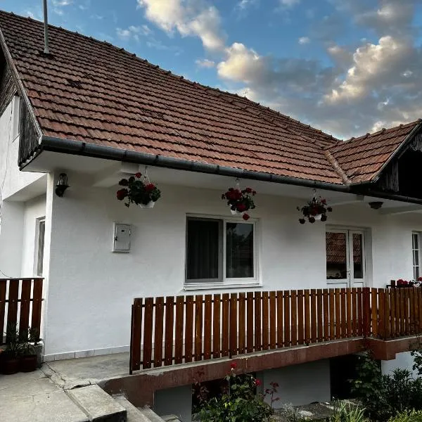 Balázs Vendégház, hotel in Lupeni