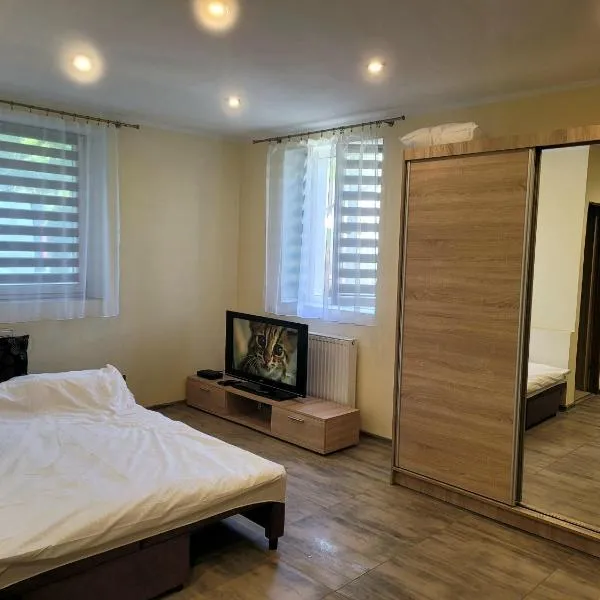Apartament Lipnicki 2, hotel in Bielsko-Biala