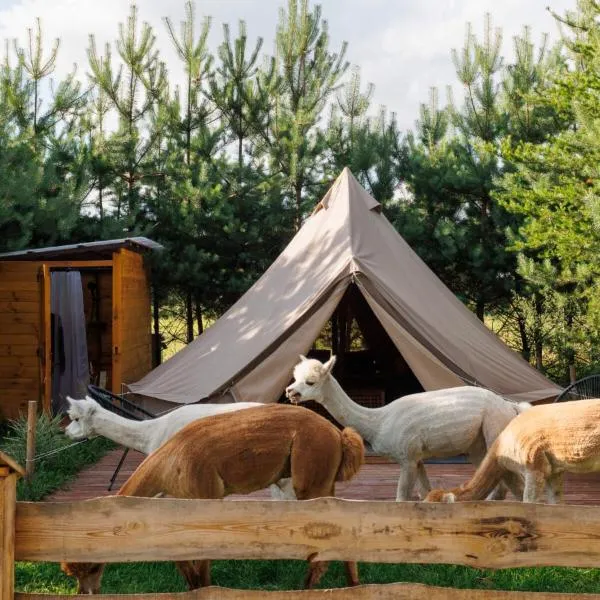 Glamping - Projekt Alpaka, hotel v destinaci Garbatka-Letnisko