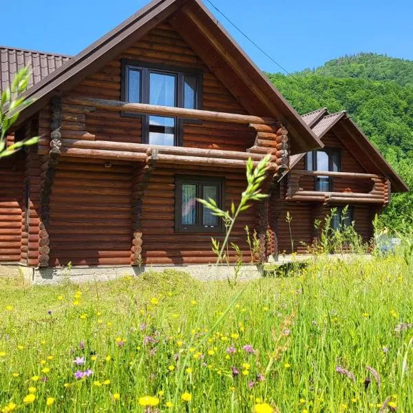 Котеджі Карпати Fest, hotel v destinaci Mižhirja