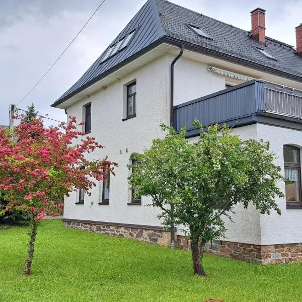 Ferienwohnungen Reiterhof Lienemann, hotel in Grünbach