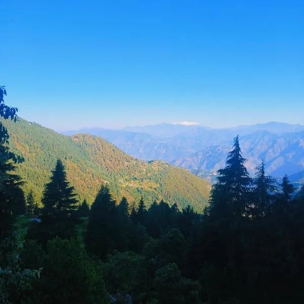 COZY HEAVEN HOME STAY DALHOUSIE-Near Fortune Park ITC Karelanu photo 2