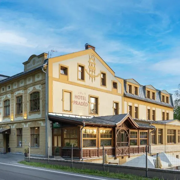 Hotel Praděd Thamm, hotel in Mikulovice