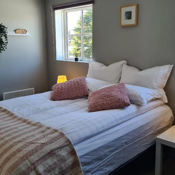 Hallfreðarstaðir 1 Apartments, hotel v destinaci Kirkjubær