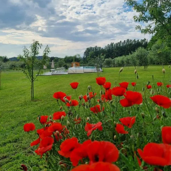 Agriturismo Case in Collina、ヴォルタ・マントヴァーナのホテル