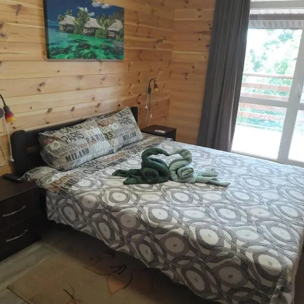 Котедж біля берега моря кооп Сокіл, Hotel in Tschornomorsk