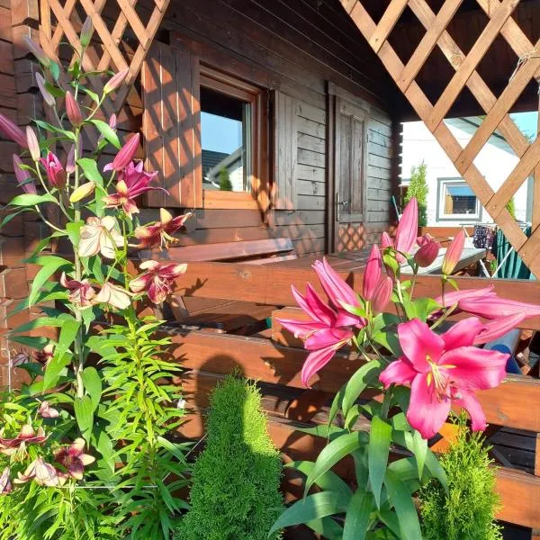 Domki Monte Kristo, готель у місті Домбкі