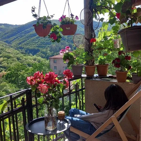 Cherqe Guest House, hotel a Sighnaghi