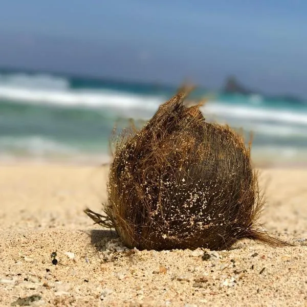 반 아오 마크함에 위치한 호텔 Studio at the Beach