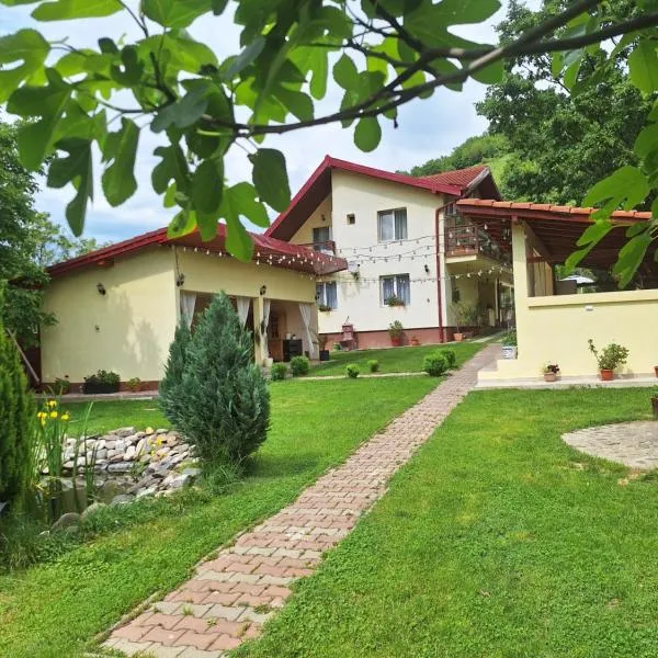Casa de Vacanță Daniel, hotel v destinaci Oršava