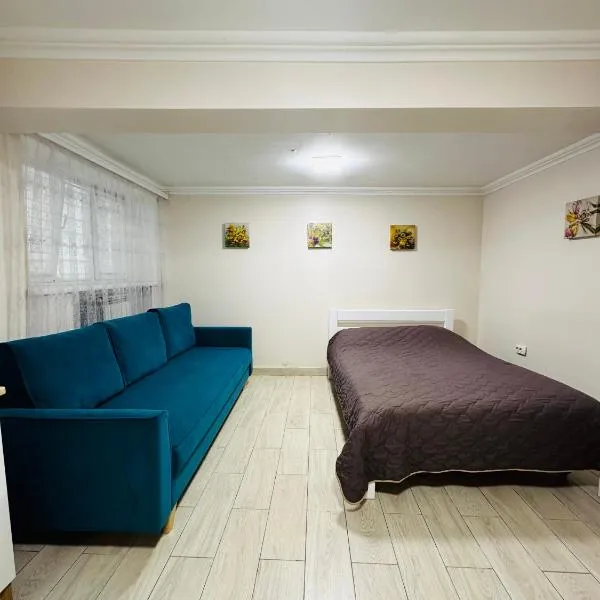 Бюджетна студія біля резиденції університету by Willox, hotel in Chernivtsi
