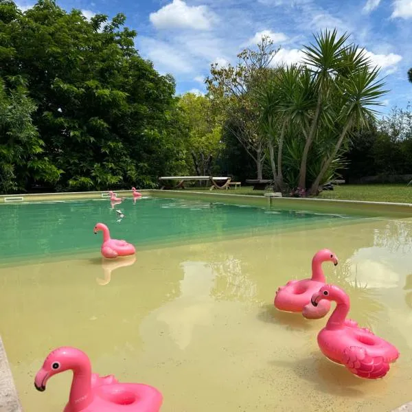 Le Patio, chambres d hôtes pour adultes en Camargue, possibilité de naturisme à la piscine,，艾馬爾格的飯店