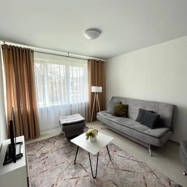 Radvilų apartamentai, hotel v destinaci Radviliškis