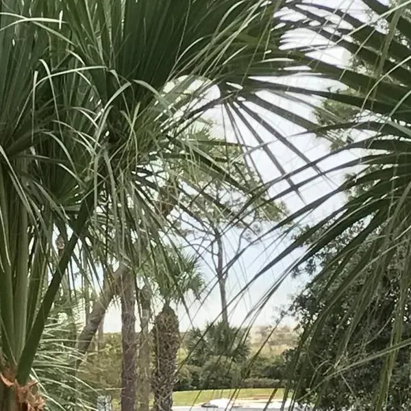VitaminSEA-Beautifully Renovated,King,Bikes,Chairs, hotel di Pulau Hilton Head