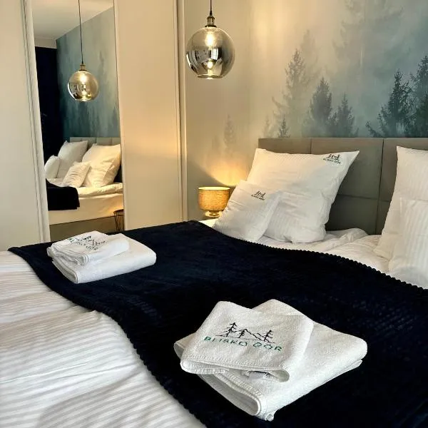 Blisko Gór Szyndzielnia, hotel in Bielsko-Biala