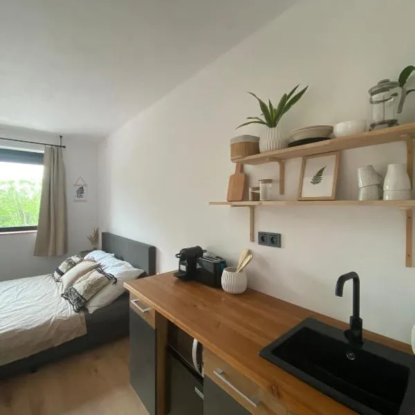 Studio Arnoštka, ξενοδοχείο σε Vimperk