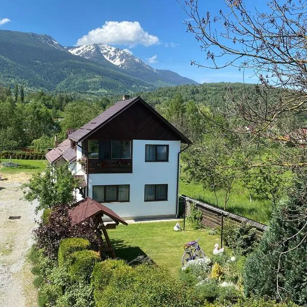 Casuta Fulgu Apartment - 2 Dormitoare Gradina si Parcare Borsa, hotel a Borşa