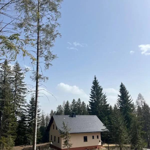 Almhaus Murtal Zirbenland, hotel in Obdach