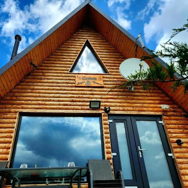 Cabana Lupul din Apuseni, hotel v destinaci Mătişeşti