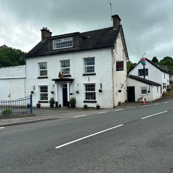 Dolgoch Mill House Annexe, hotel in Llanfihangel-yng-Ngwynfa