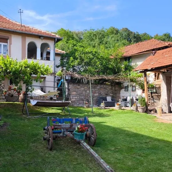 Vila Kruna, hotel v destinaci Pirot