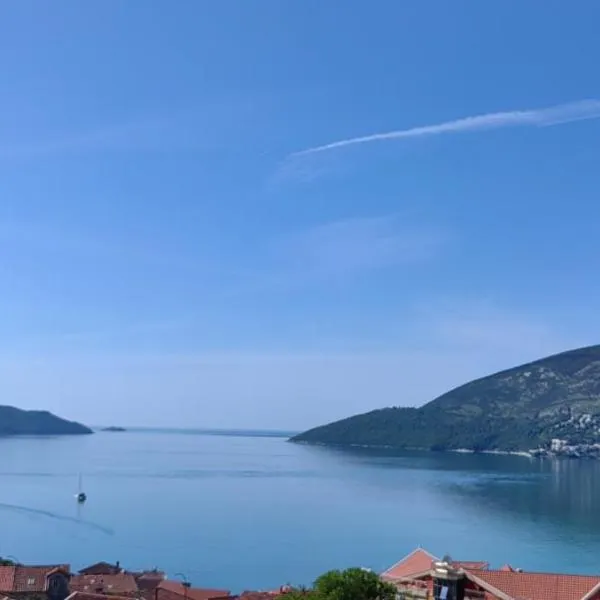 Apartmani Milicevic, hotel in Igalo