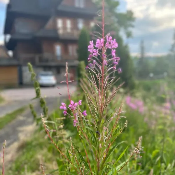 Willa Alta, hotel in Bukowina Tatrzańska