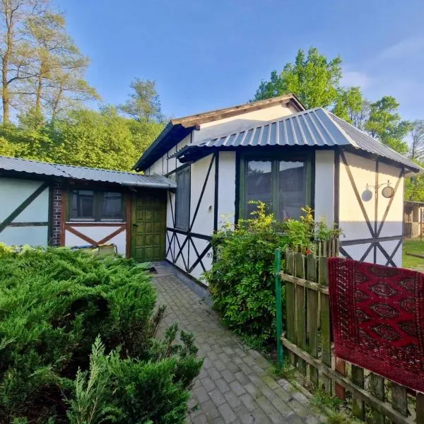 Pokój Afryka-Puszcza kampinoska, hotel v destinácii Leoncin