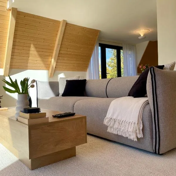 Cabana A-frame Cricov 9, hotel v destinaci Valea Lungă-Ogrea