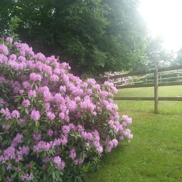 Etzauer Mühle im Taunus, Mensch-Zeit-Pferd, hotel em Weilrod