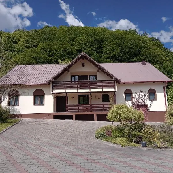 Loja Montana, hotel in Marginea